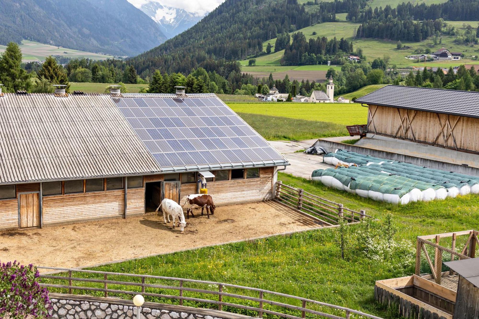 Oberhoelzlhof วาลเดารา ดิ โซปรา ภายนอก รูปภาพ